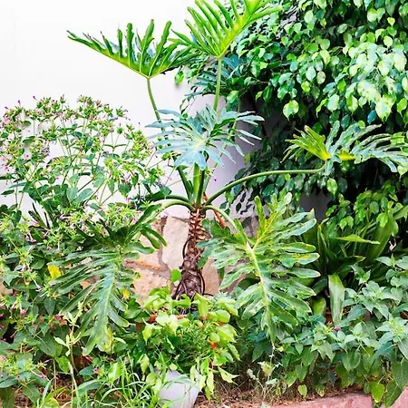 Apartment Da Mari Casa Cagliari